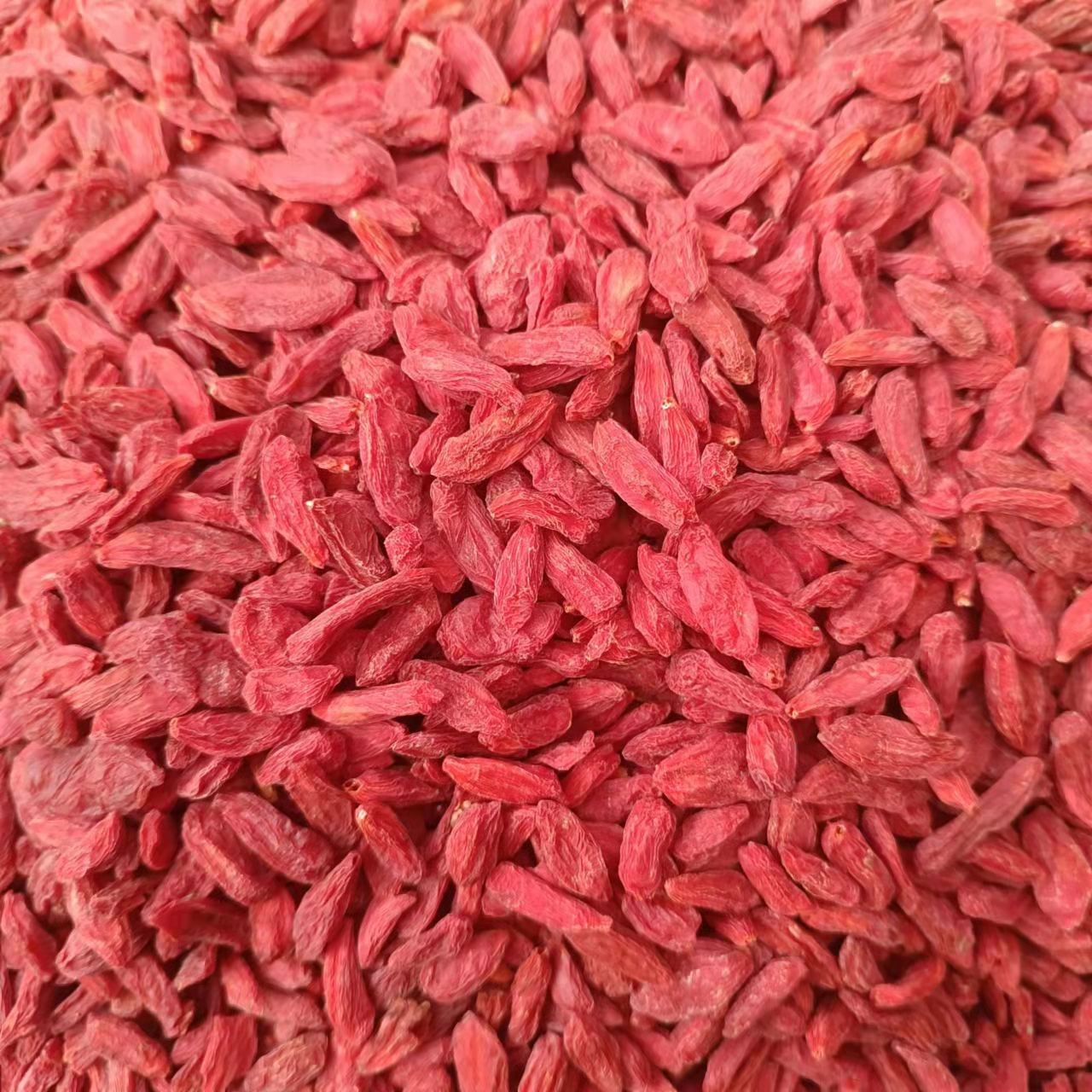 热卖枸杞子批发散货零售头茬特优大粒红枸杞茶500g袋装一件代发图2
