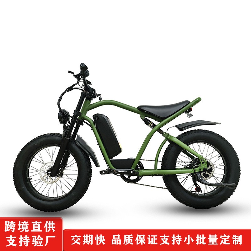 新款电动雪地车 48V16ah电动助力自行车 越野胖胎锂电强劲电动车图4