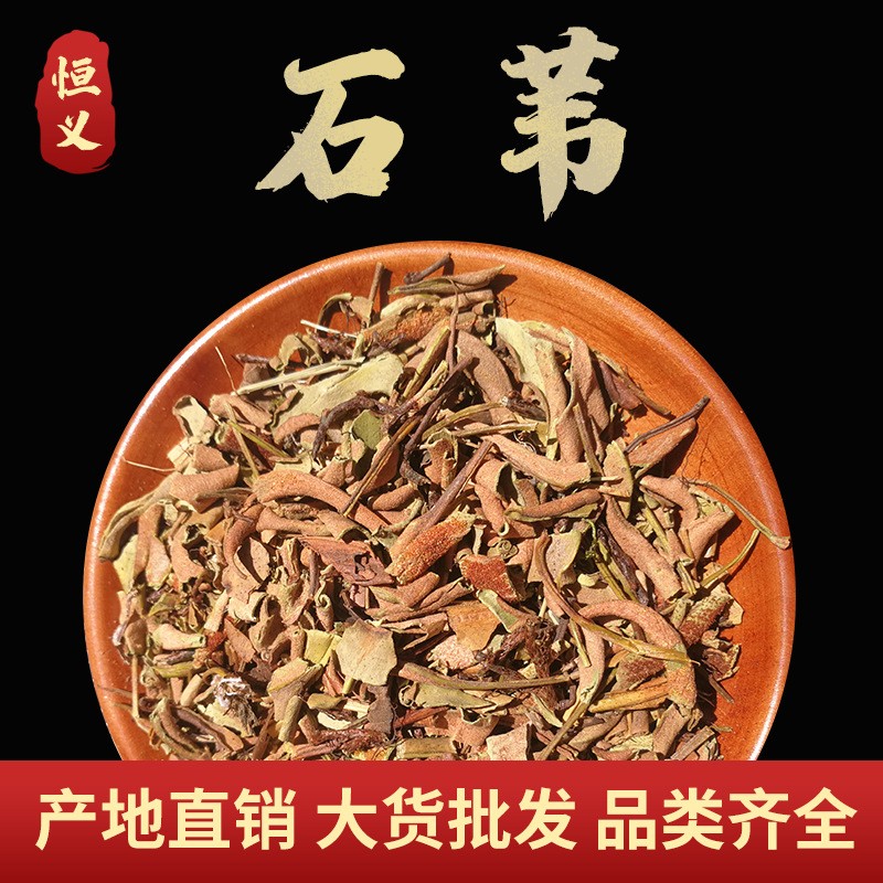 小叶石苇 新货石苇 厂家源头直销