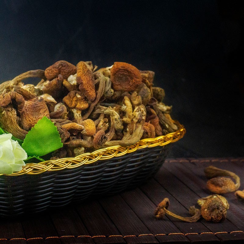 长白山特产野生榛蘑 干货150g /瓶 农家小鸡炖蘑菇东北干榛菇图3