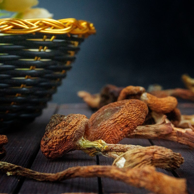 长白山特产野生榛蘑 干货150g /瓶 农家小鸡炖蘑菇东北干榛菇图2