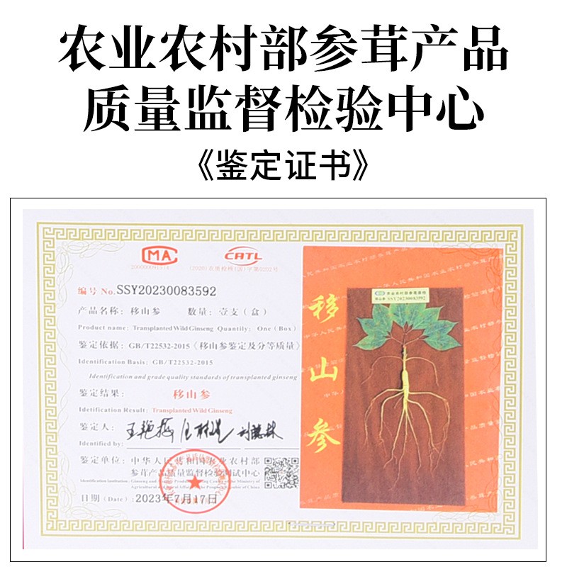 二等野山参60公分PU礼盒滋补品礼盒装林下山参批发会销礼品直播图3