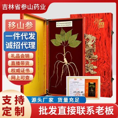 二等野山参60公分PU礼盒滋补品礼盒装林下山参批发会销礼品直播