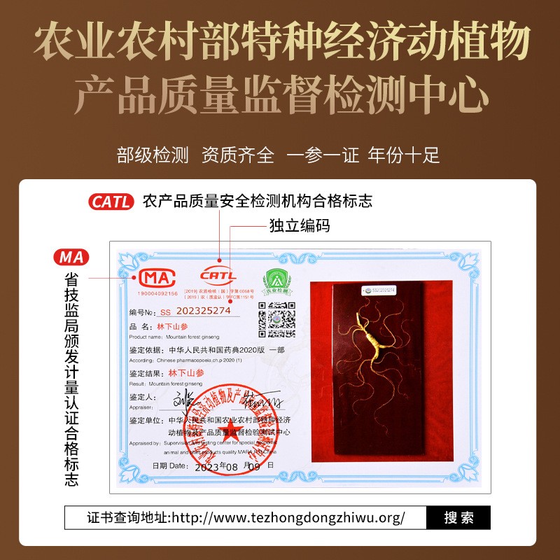 林下山参45公分PU礼盒鉴定证书 长白山整枝人参会销批发直播带货图4