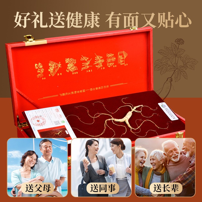 林下山参45公分PU礼盒鉴定证书 长白山整枝人参会销批发直播带货图2