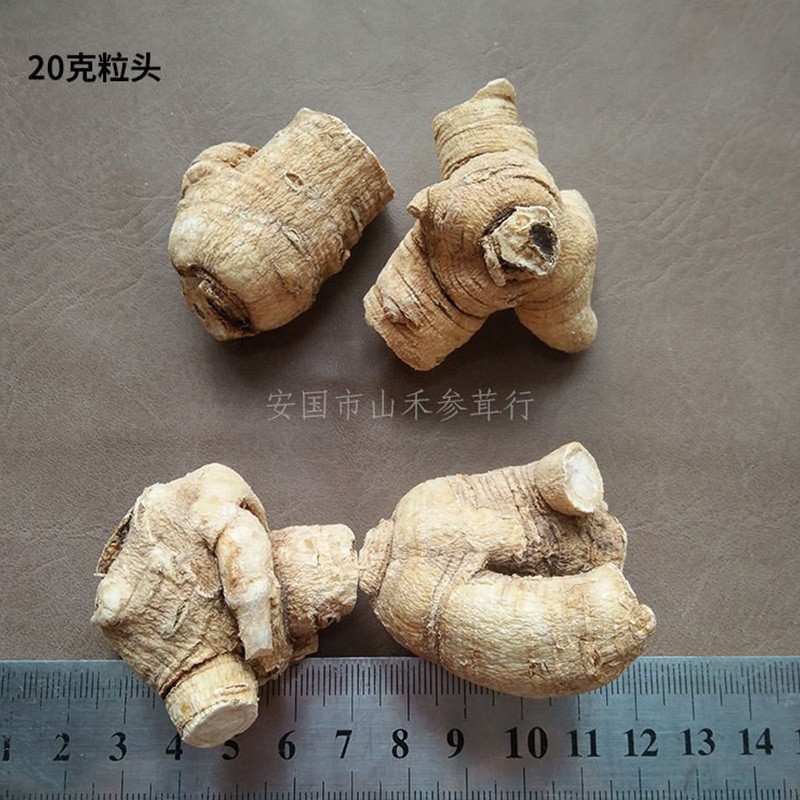 大货批发东北 长白山西洋参圆粒500克花旗参粒头厂家批发足干打粉图4
